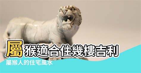 屬猴適合樓層|【屬相猴樓層風水】屬猴適合住幾樓吉利 